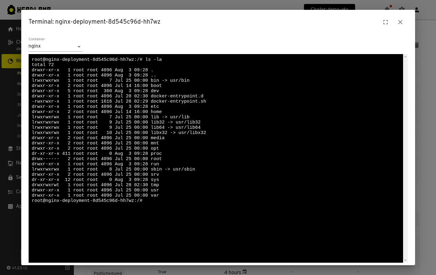 Terminal：在 UI 中直接打开集群终端