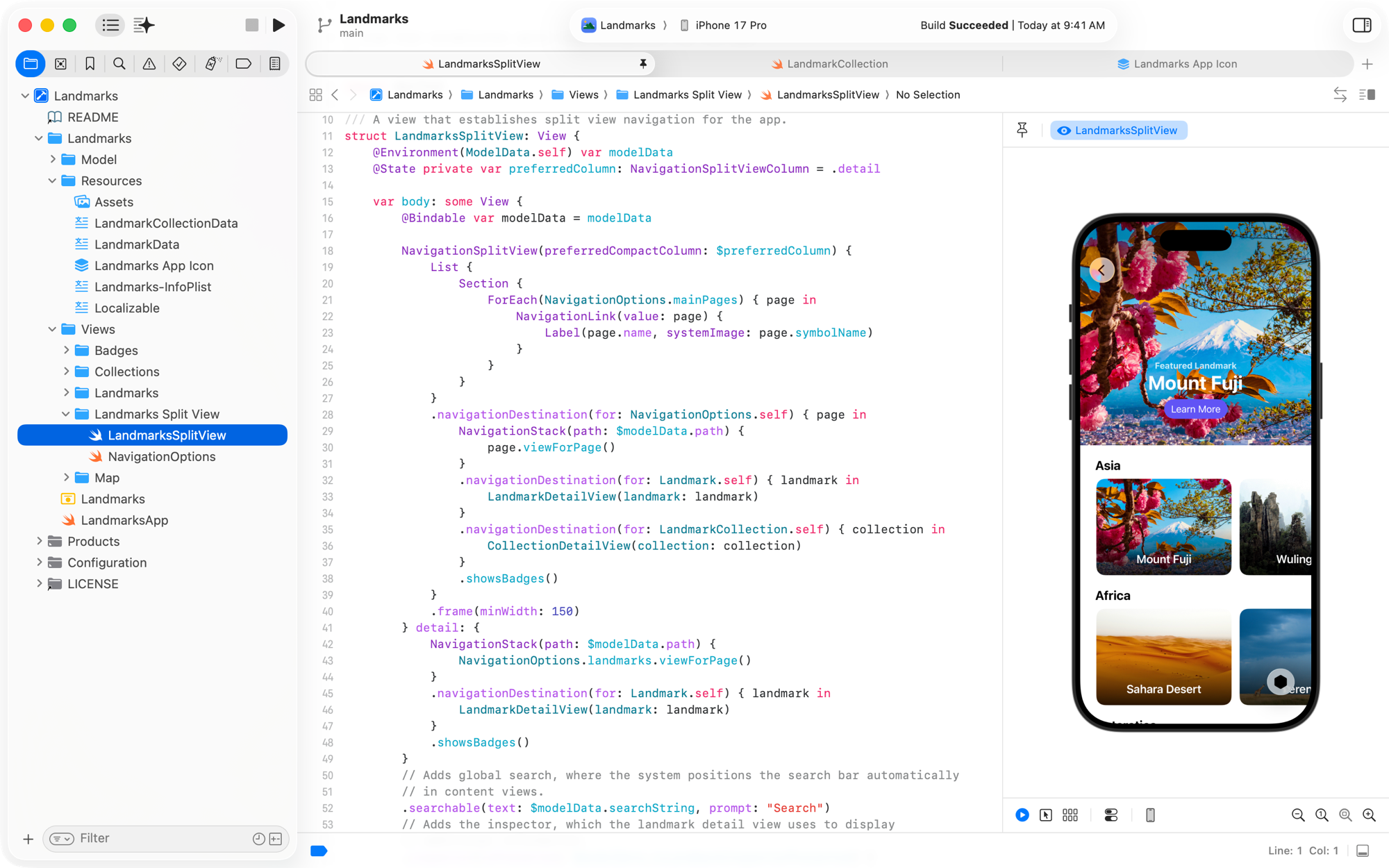 主界面：项目导航、SwiftUI 源码与 iPhone 实时预览